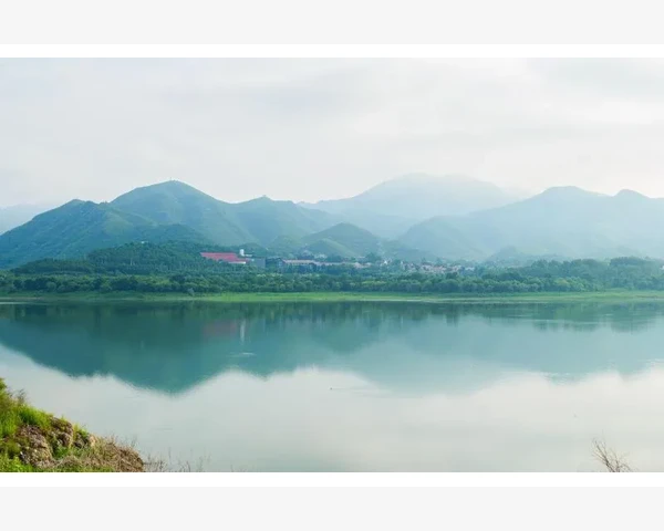 气血不足，真的能吃乌龟吗？