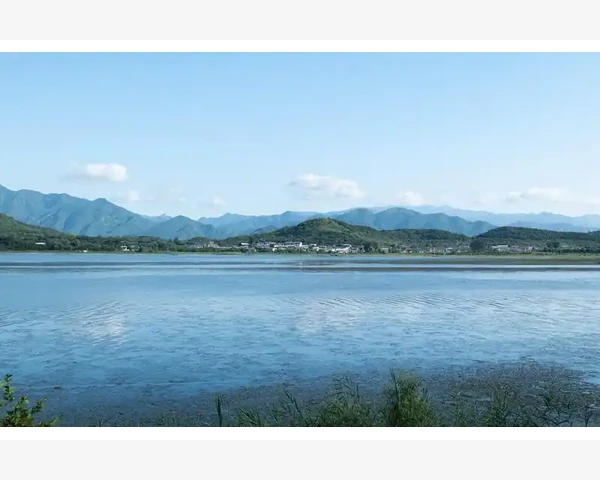 化疗胃疼怎么调理好？中医为您讲解