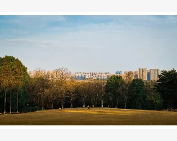 气血不足，真的会导致死亡吗？